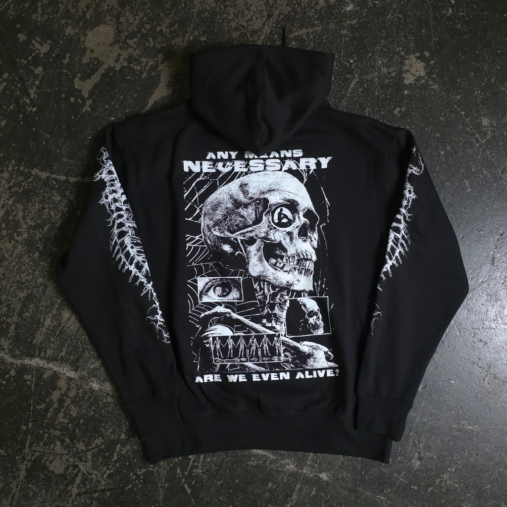 Are We Even Alive Pullover Hoodie