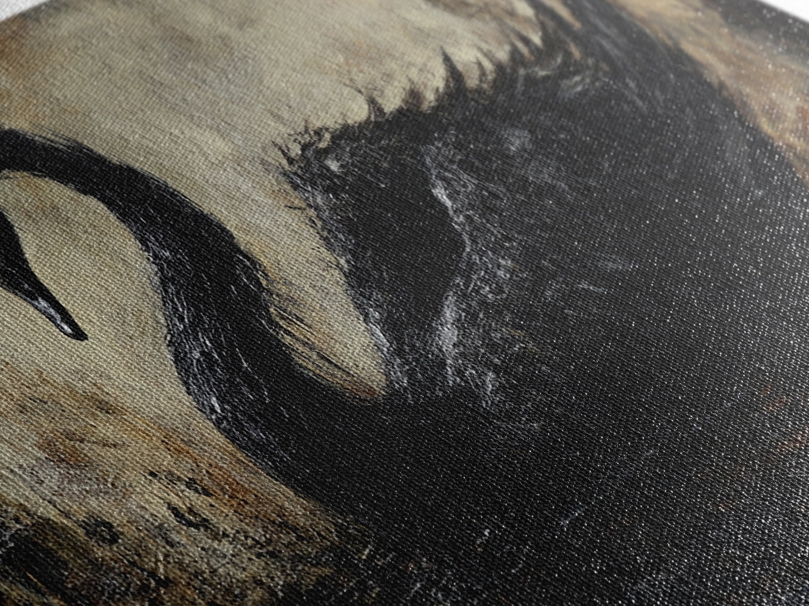 The Black Swan Framed Canvas Print - Goth Decor - Dark Academia Wall Art - Goth Painting - Swan Painting - Black Swan Wall Art Print