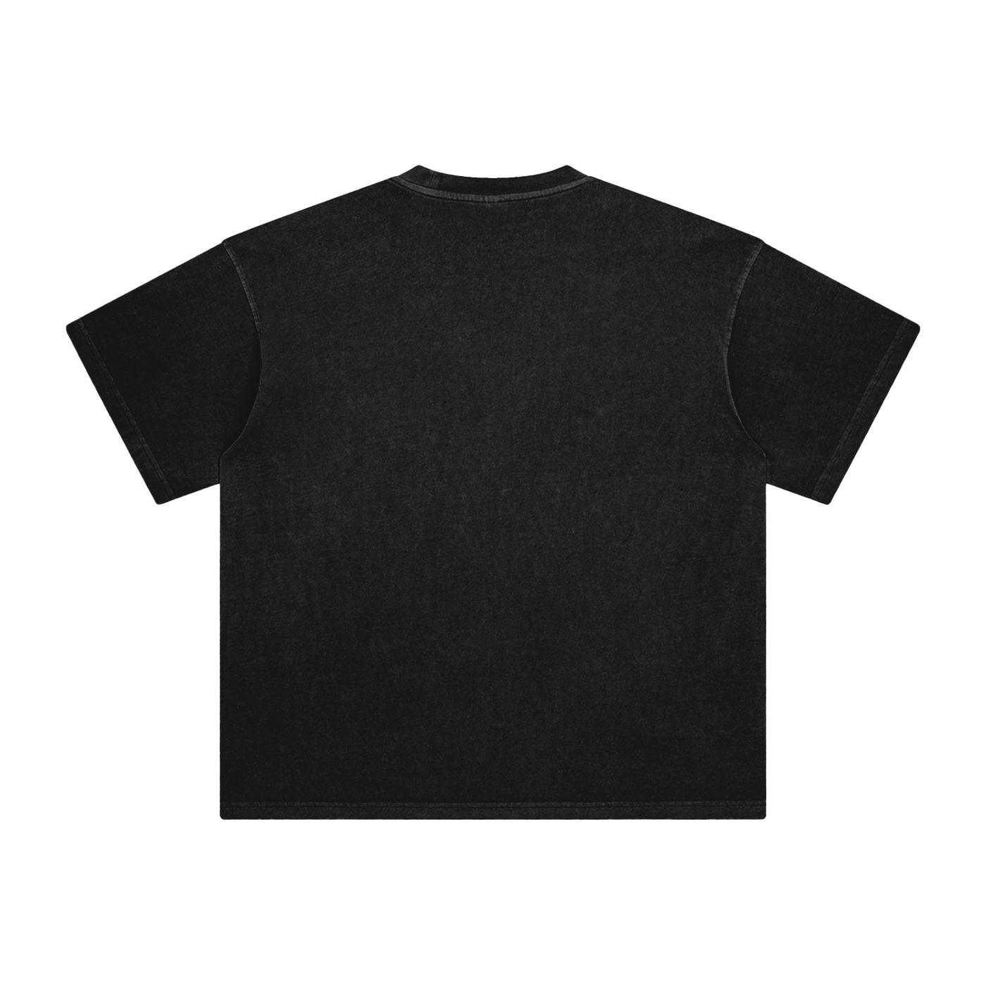 Salem Apothecary Enzyme Washed Tee